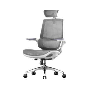 Sihoo M59AS Ergonomic office chair
